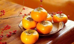 网红小柿吃瓜,揭秘娱乐圈幕后真相