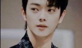 王照达爆料许凯视频,揭秘背后惊人内幕